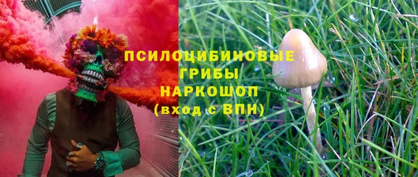 не бодяженный Алексин