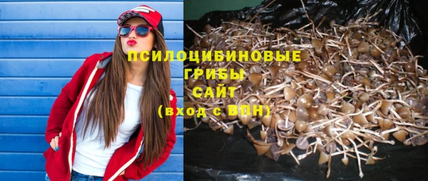 каннабис Алексеевка